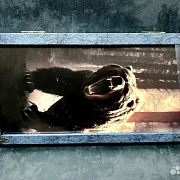 Нарды под стеклом «Хозяин тайги» — необычный подарок — фотография 8